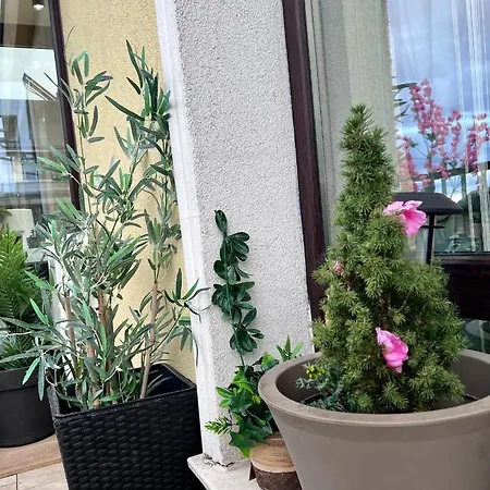 Vitosha Terrace 1br With Parking Apartment Sofia