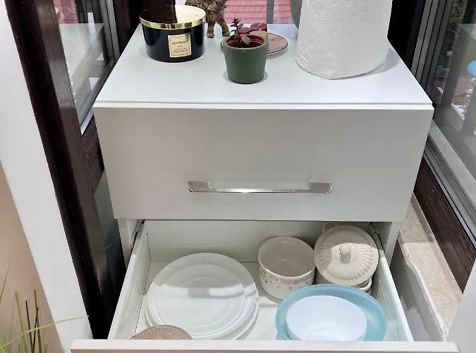 Apartment Vitosha Terrace 1br With Parking *